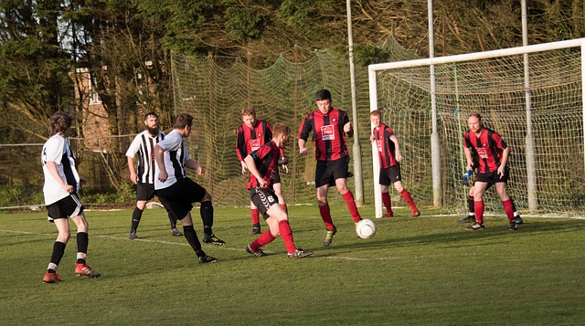 观众都感到 观众都感到