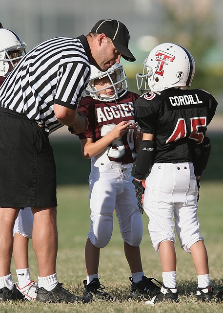 加的夫城的 加的夫城的
