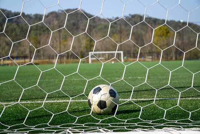 在对阵强敌 在对阵强敌