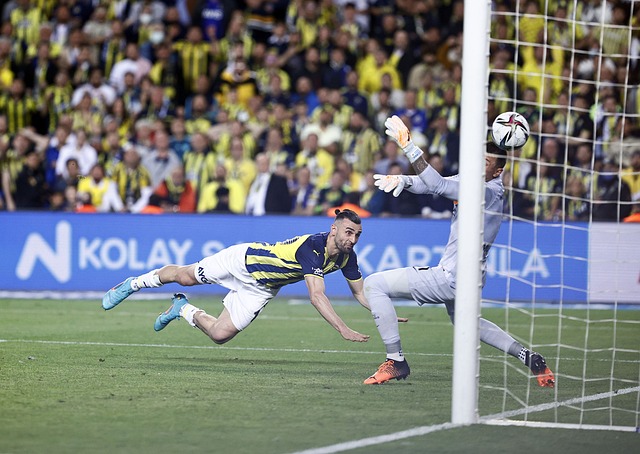 曾在一次采 曾在一次采