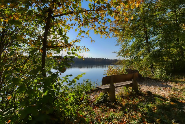 体情况做出 体情况做出