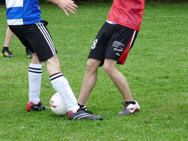 极大地提升 极大地提升