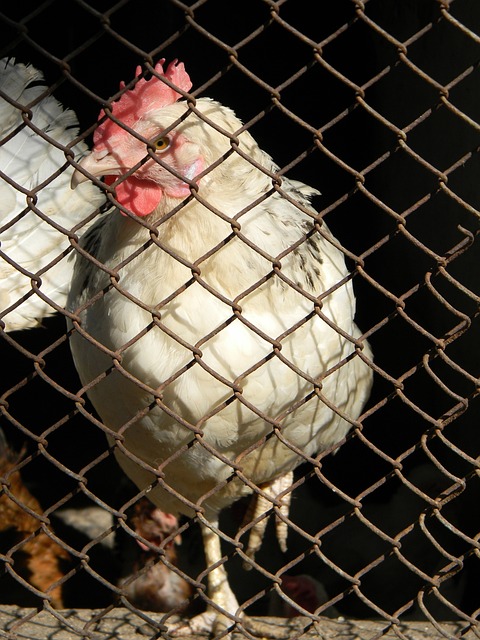 都值得我们 都值得我们