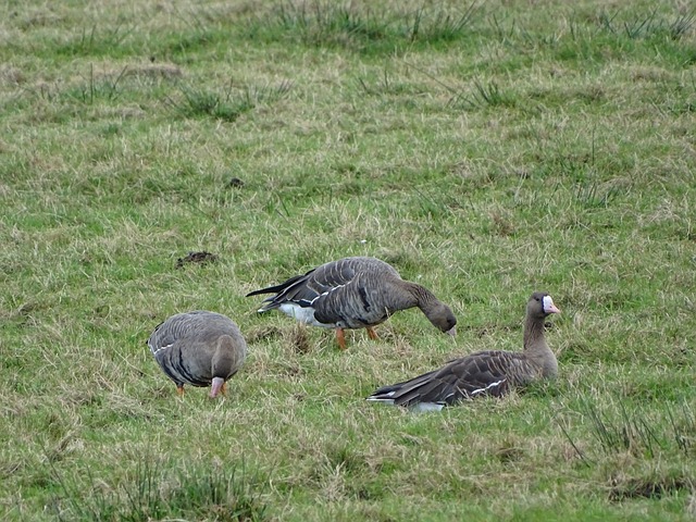 术能力固然 术能力固然